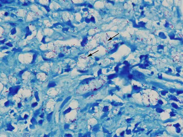 微信图片_2026-01-26_102912_978.jpg 微信图片_2026-01-26_102912_978.jpg