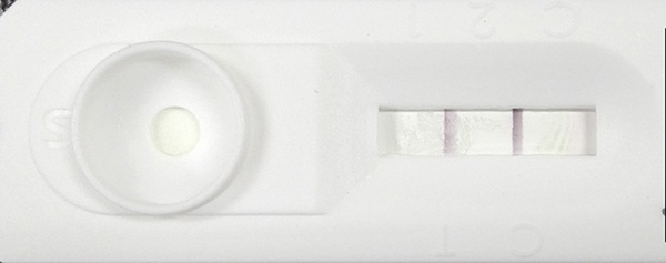 微信图片_2026-01-26_102955_138.jpg 微信图片_2026-01-26_102955_138.jpg